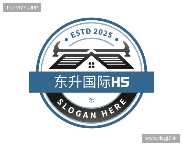 深入东升国际h5